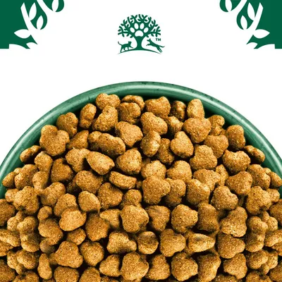 Croquettes marron dans une gamelle verte, logo avec arbre, chat et chien visible en haut de l’image. Aucun nom de marque ou texte supplémentaire n’apparaît.
