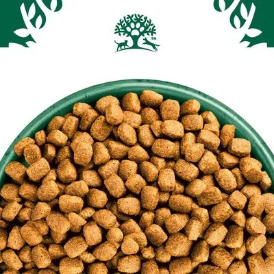 James Wellbeloved Adult Small Breed - Kalkoen & Rijst