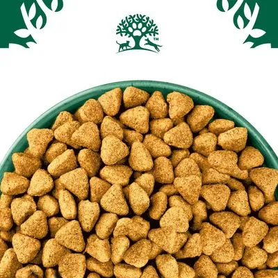 James Wellbeloved Grain Free Adult Dog Hypoallergenic Kalkoen & Groenten Hondenvoer