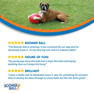 Boomer Ball. Vásárlói vélemények: „Hihetetlenül strapabíró és a legjobb játék kutyáknak”, „Lefoglalja a kutyámat”, „Elpusztíthatatlan, tökéletes aktív kutyáknak”.