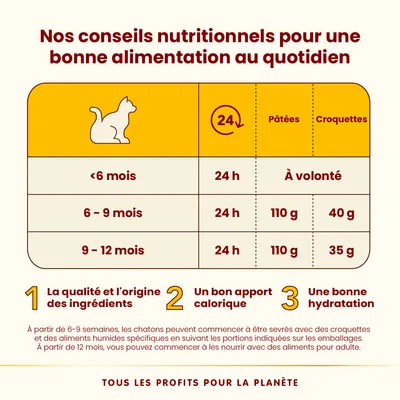Conseils d’alimentation chaton : <6 mois 24 h pâtées, croquettes à volonté ; 6–9 mois 24 h pâtées 110 g, croquettes 40 g ; 9–12 mois 24 h pâtées 110 g, croquettes 35 g.