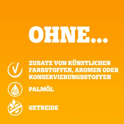 Pedigree Adult Frischebeutel Protein Plus in Gelee