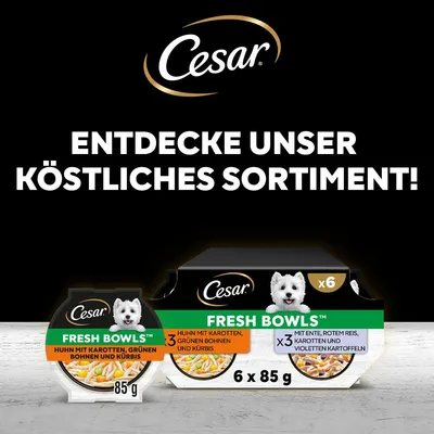 Cesar Fresh Bowls, Huhn mit Karotten, grünen Bohnen und Kürbis, 85g. Packung mit 6x85g: Ente, roter Reis, Karotten und violette Kartoffeln. Entdecke unser köstliches Sortiment.