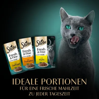 Sheba Fresh & Fine in Gelee, Sorten: mit Geflügel, mit Truthahn, mit Huhn. Ideale Portionen für eine frische Mahlzeit zu jeder Tageszeit.