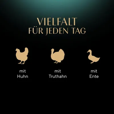 Vielfalt für jeden Tag: mit Huhn, mit Truthahn, mit Ente.