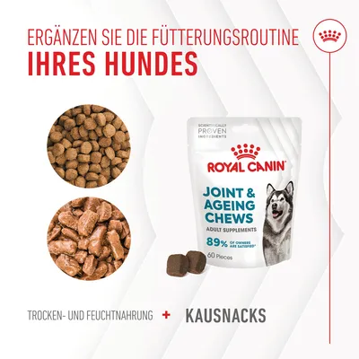 Royal Canin Joint & Ageing Chews für Hunde. Ergänzen Sie die Fütterungsroutine mit Trocken- und Feuchtnahrung plus Kausnacks. 89% der Besitzer sind zufrieden, 60 Stück.