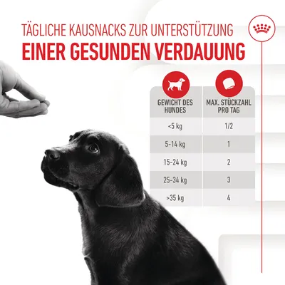 Tägliche Kausnacks zur Unterstützung einer gesunden Verdauung. Fütterungsempfehlung: Gewicht des Hundes <5kg: 1/2 Stück, 5-14kg: 1 Stück, 15-24kg: 2 Stück, 25-34kg: 3 Stück, >35kg: 4 Stück.