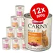 Varčno pakiranje animonda Carny Adult 12 x 800 g