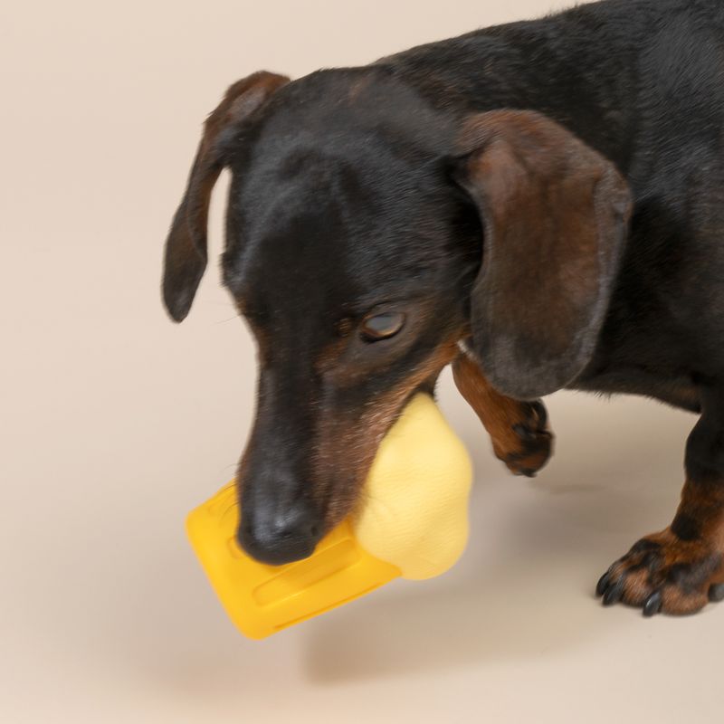 Jouet aquatique TIAKI Chope de bière pour chien