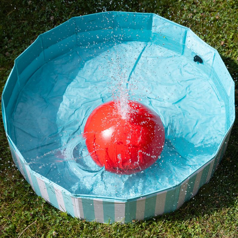 Nomad Tales Bloom Boomer Ball kutyajáték