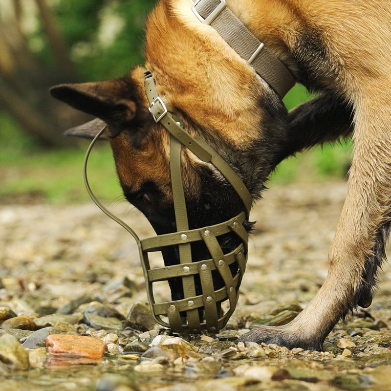 COLORI® Maulkorb Schäferhund M, hellbraun