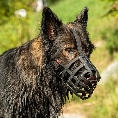 COLORI® 2.0 Maulkorb Schäferhund L, schwarz COLORI® 2.0 Maulkorb Schäferhund L, schwarz