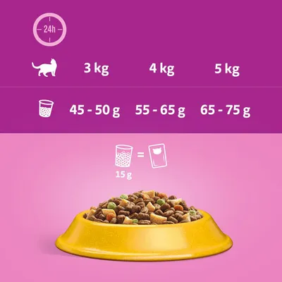 Feeding guide showing daily dry food amounts: 3kg cat 45-50g, 4kg cat 55-65g, 5kg cat 65-75g. 15g dry food equals one wet food pouch.