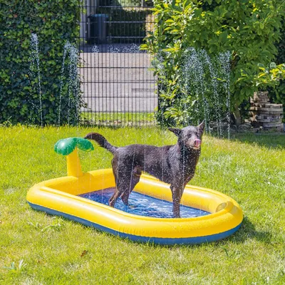 Keltainen puhallettava kahluuallas, jossa on vesiruiskutoiminto, koristeellinen palmu ja koira sisällä. Sopii puutarhaan.