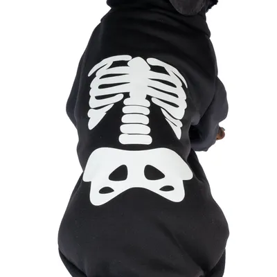 Schwarzer Hundepullover mit weißem Skelett-Aufdruck auf dem Rücken, geeignet für Halloween oder besondere Anlässe.