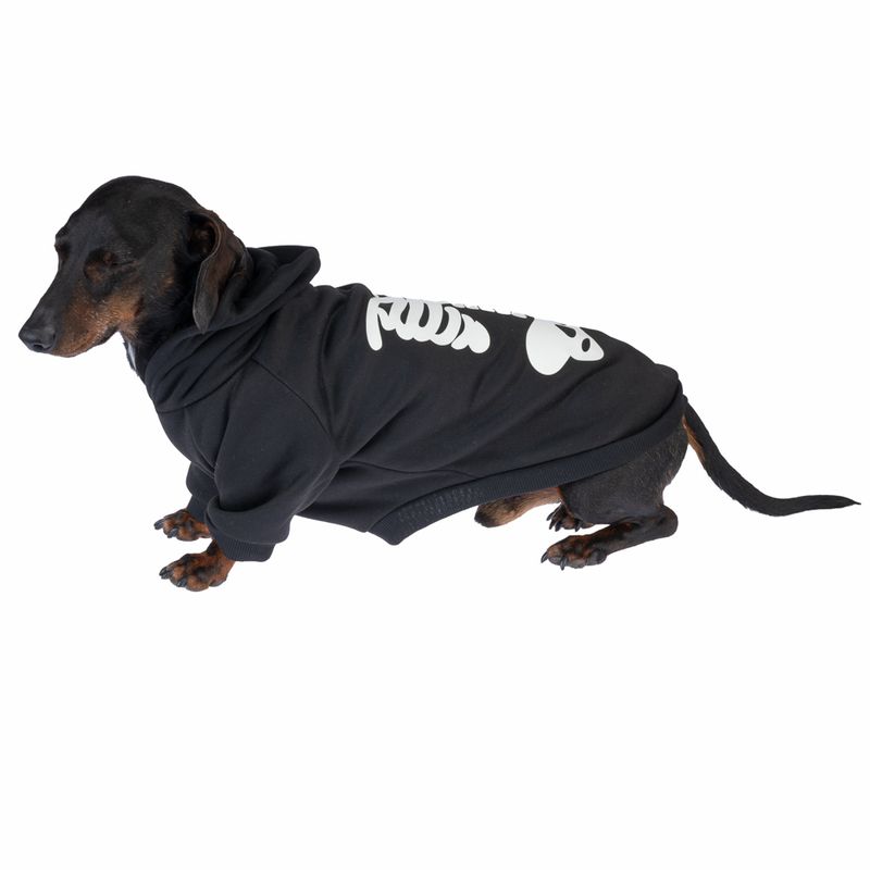 TIAKI Leuchtender Skelett-Hoodie für Hunde