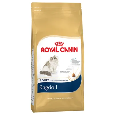 Saco de pienso Royal Canin Ragdoll Adult para gatos, con ilustración de un gato ragdoll y texto visible: ADULT over 12 months old, Feline Breed Nutrition.