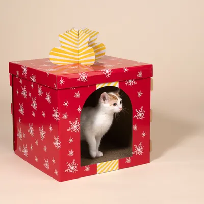 TIAKI червена подаръчна кутия, драскалка от вълнообразен картон