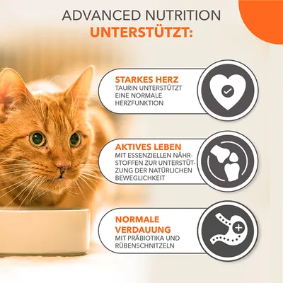 Advanced Nutrition unterstützt: Starkes Herz mit Taurin, Aktives Leben mit essenziellen Nährstoffen, Normale Verdauung mit Präbiotika und Rübenschnitzeln.