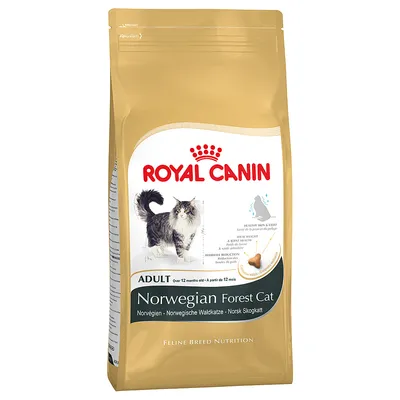 Saco de comida para gatos Royal Canin Norwegian Forest Cat Adult, con imagen de gato y texto visible en inglés sobre beneficios para piel, articulaciones y reducción de bolas de pelo.