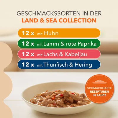 Texte en allemand : 12 x mit Huhn, 12 x mit Lamm & rote Paprika, 12 x mit Lachs & Kabeljau, 12 x mit Thunfisch & Hering. SCHMACKHAFTE REZEPTUREN IN SAUCE.