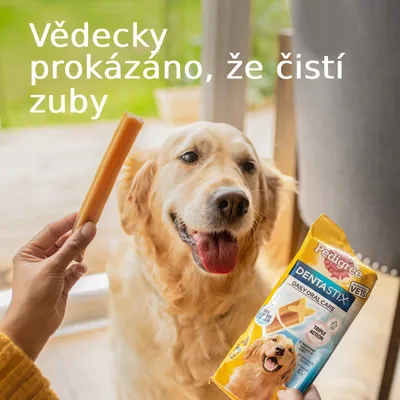 Pedigree Dentastix Daily Oral Care, balení s obrázkem psa. Text: Vědecky prokázáno, že čistí zuby. Osoba drží pamlsek před psem.