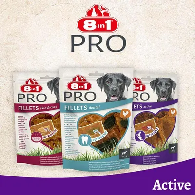 8in1 PRO Fillets skin & coat, dental og active. Tre tasker hundesnacks med synlige produktnavne og NUTRICIENCE-logo. 8in1 PRO Fillets skin & coat, dental og active. Tre tasker hundesnacks med synlige produktnavne og NUTRICIENCE-logo.
