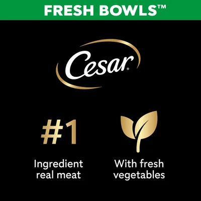 Cesar Fresh Bowls in Gravy Mixed Selection - 24 x 85g Cesar Fresh Bowls in Gravy Mixed Selection - 24 x 85g