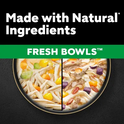 Cesar Fresh Bowls in Gravy Mixed Selection - 24 x 85g Cesar Fresh Bowls in Gravy Mixed Selection - 24 x 85g