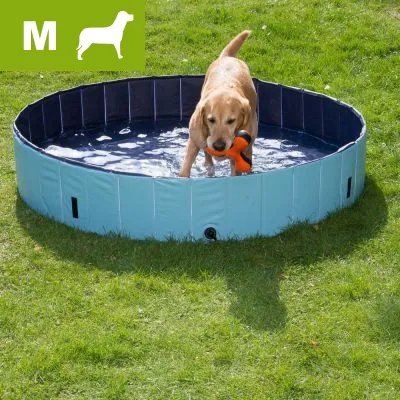 Medium size blue dog paddling pool outdoors, with a Labrador in the water holding an orange toy. Green box top left shows white dog icon and letter M. Medium size blue dog paddling pool outdoors, with a Labrador in the water holding an orange toy. Green box top left shows white dog icon and letter M.
