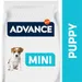 Advance Puppy Protect Mini