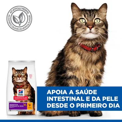 Hill's Adult Sensitive Stomach & Skin com frango ração para gatos