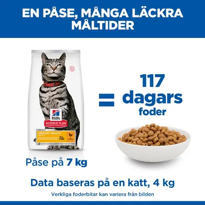 Rent och färskt dricksvatten bör alltid finnas tillgängligt.