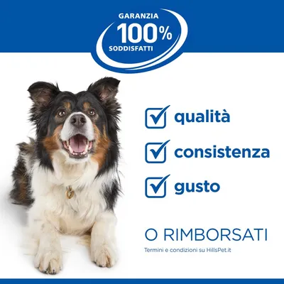 Hill's Science Plan Mature Adult 7+ Medium con Agnello e Riso