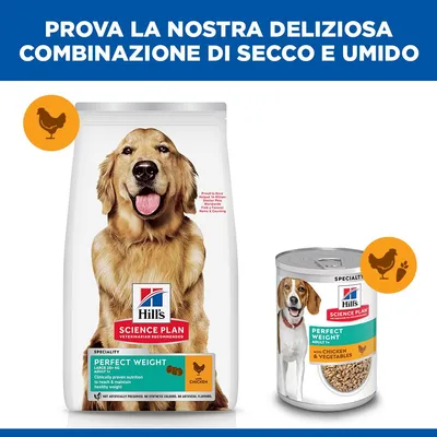 Hill's Science Plan Perfect Weight Adult 1+ Large con Pollo