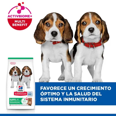 Hill's Science Plan Puppy <1 Medium con cordero y arroz