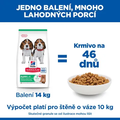 Hill's Science Plan Puppy <1 Medium Lamb & Rice