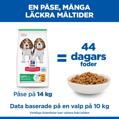 Hill's Science Plan Puppy <1 Medium Chicken