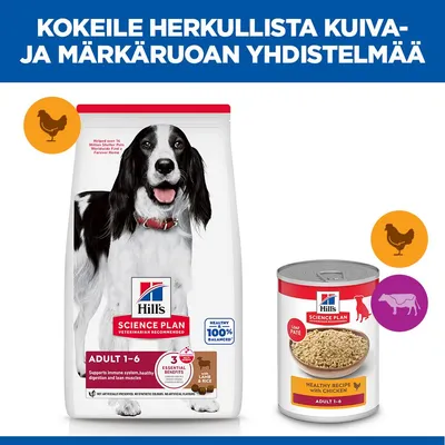 Hill's Science Plan Adult 1-6 Kuivaruoka lampaanlihan & riisin kanssa sekä märkäruoka Healthy Recipe with Chicken. Kuvissa on esitetty kanan, lampaan ja naudan symbolit. Hill's Science Plan Adult 1-6 Kuivaruoka lampaanlihan & riisin kanssa sekä märkäruoka Healthy Recipe with Chicken. Kuvissa on esitetty kanan, lampaan ja naudan symbolit.
