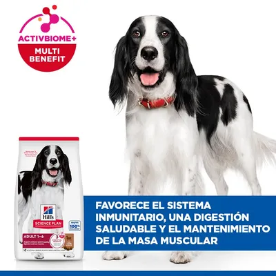 Hill's Science Plan Adult 1-6 Medium con cordero y arroz