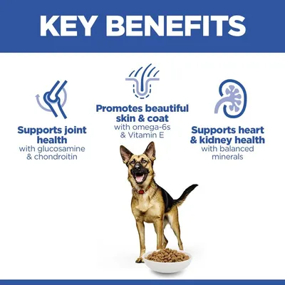 Hill's Science Plan Mature Adult 6+ Large csirke