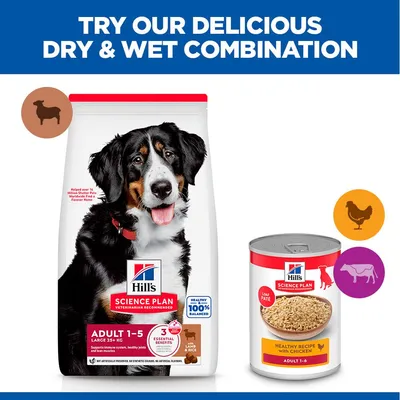 Hill's Science Plan Adult 1-5 Large bárány & rizs