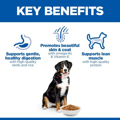 Hill's Science Plan Adult 1-5 Large bárány & rizs