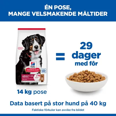 Hill's Science Plan Adult 1-5 Large med Lam & Ris