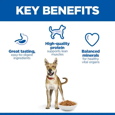 Hill's Science Plan Performance Adult 1+ csirke