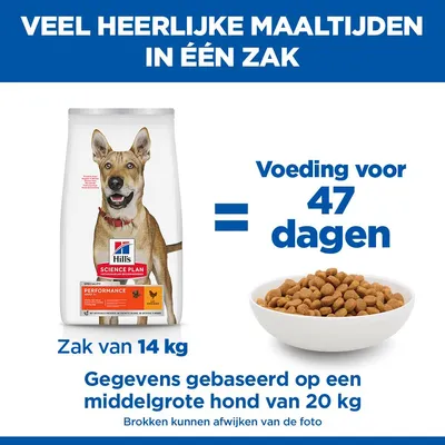 Hill's Science Plan Performance Adult 1+ met Kip