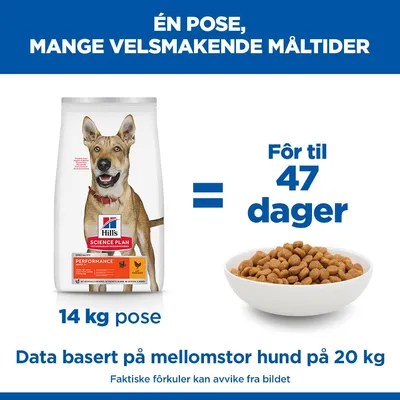 Hill's Canine Adult 1+ Performance med Kyllling