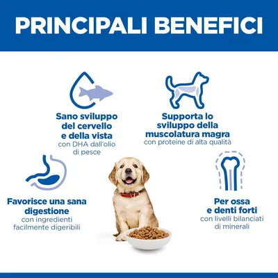 Hill's Science Plan Puppy <1 Large con Pollo