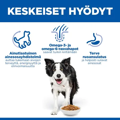 Tärkeimmät edut: ainutlaatuinen ainesosayhdistelmä tukee aivojen terveyttä ja elinvoimaisuutta, omega-3- ja -6-rasvahapot antavat kiiltävän turkin, terve ruoansulatus helposti sulavien ainesosien ansiosta. Tärkeimmät edut: ainutlaatuinen ainesosayhdistelmä tukee aivojen terveyttä ja elinvoimaisuutta, omega-3- ja -6-rasvahapot antavat kiiltävän turkin, terve ruoansulatus helposti sulavien ainesosien ansiosta.