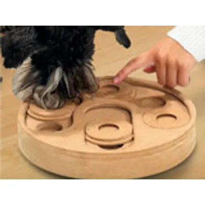 Hond en hand bij houten interactief spelbord met schuifbare schijven op tafel, zichtbaar gebruik van poot en vinger om schijven te bewegen.